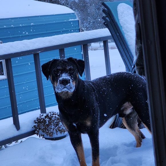 Meet your Posher, Lynda - Picture 10 of 12